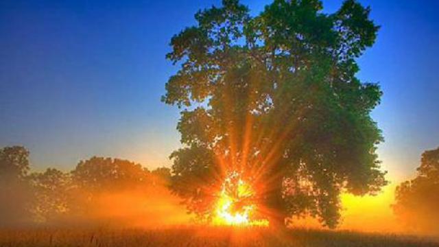 Времена года