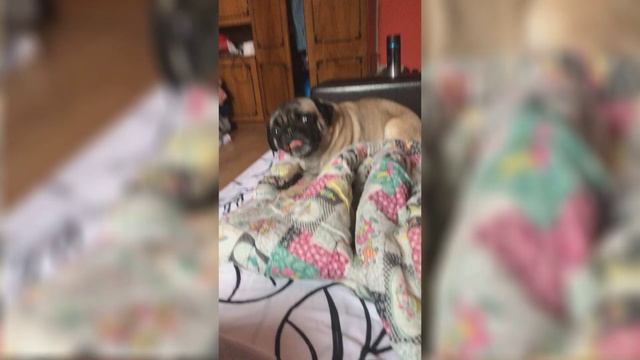 Я СДЕЛАЛ ЛАМИНАРНОЕ ТЕЧЕНИЕ