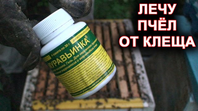 Лечение пчёл от клеща муравьиной кислотой. Муравьинка.