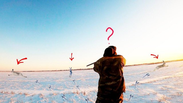 ОХОТА НА ЗАЙЦА 2024. ТАКОЙ ОХОТЫ У МЕНЯ ЕЩЕ НЕ БЫЛО! ТРИ С ЛЕЖКИ.