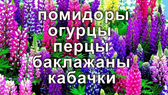 КАК ВЕРНУТЬ ПОЧВЕ ПЛОДОРОДИЕ. Простые и полезные советы.