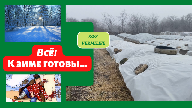 Все! К зиме готовы... Разведение красного калифорнийского червя на улице зимой.