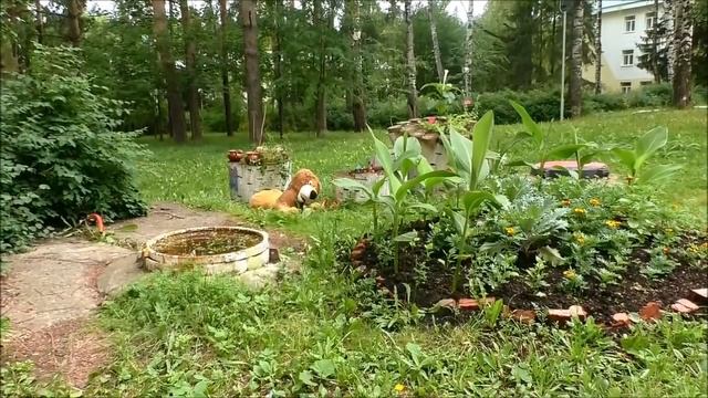 ?  Ижевск - санаторий МЕТАЛЛУРГ