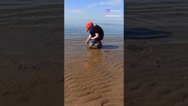 clip591970947_456239661.mp4
