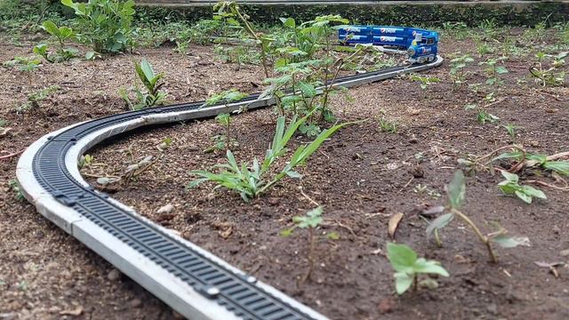 Поезда 10 .#поезд