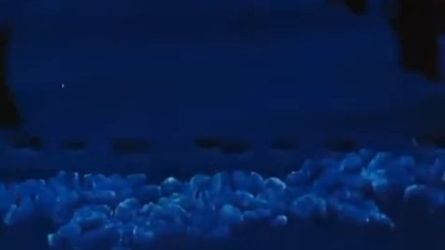 Как ёжик и медвежонок встречали Новый Год