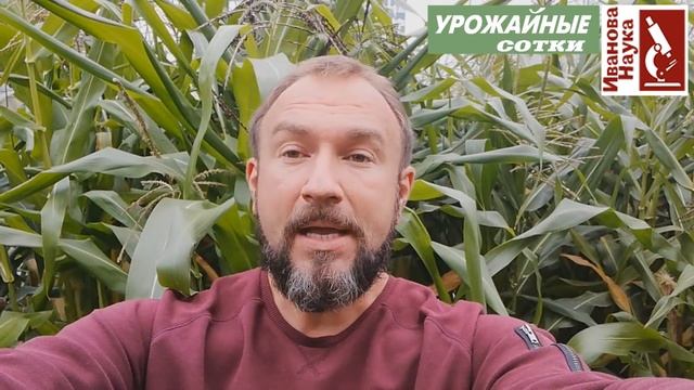 Что за чем сажать в огороде и теплице? Правильный севооборот в одной таблице.