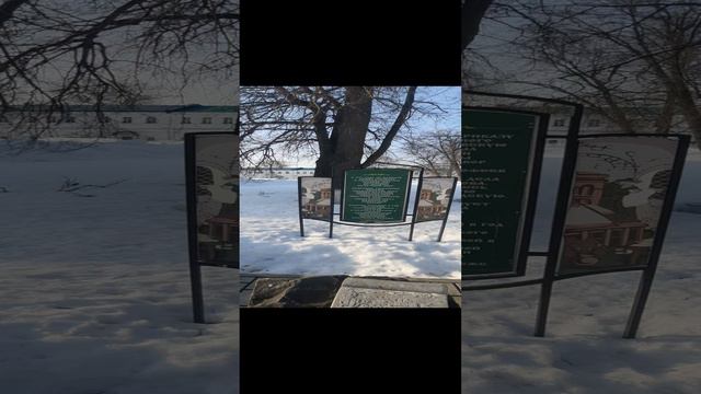 20240317_161336.mp4