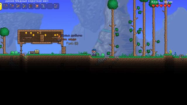 Lp. Мир Знаний #2 РАЗНЫЕ ПЛЮШКИ