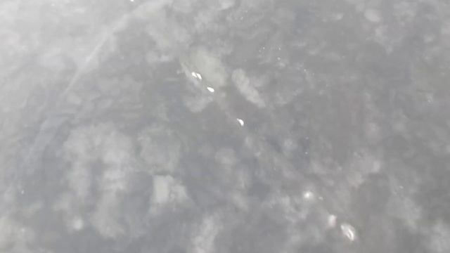 Где искать судака зимой на большой реке