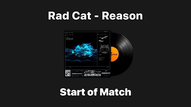 Rad Cat - Reason | CS2 Music Kit