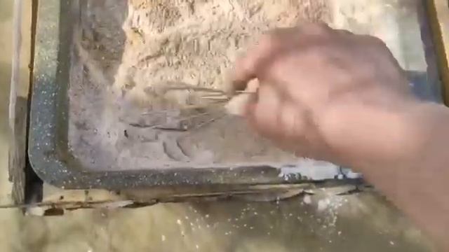 Белковая подкормка для старта пчёл весной