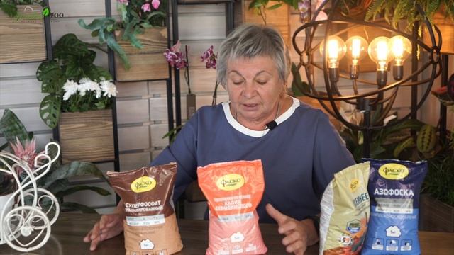 Удобряем Пионы Осенью ? Чем подкормить Пионы в Сентябре ✔️