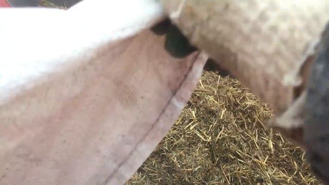 Кормораздатчик и линия кормления