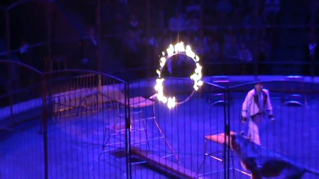 Ижевский Цирк 2017