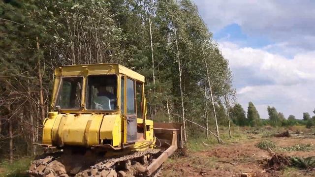 Валим лес! Очистка поля 19,5 га дт75