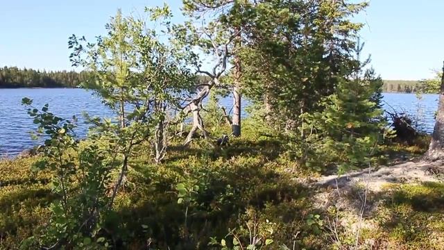 В одиночку по Белому морю Часть 1 Амбарный Гридино Путешестие по Карелии