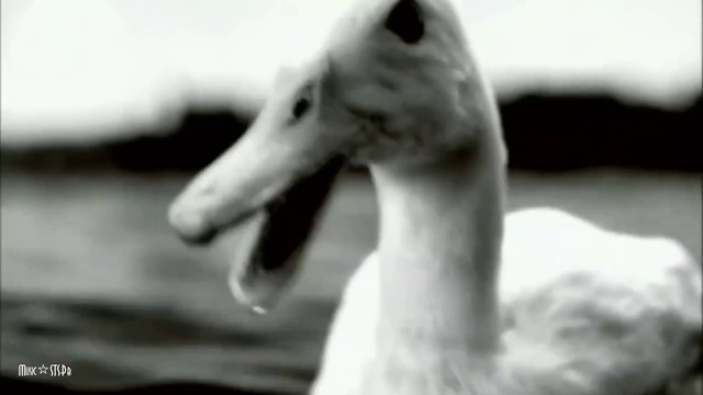 Roxette - Stars