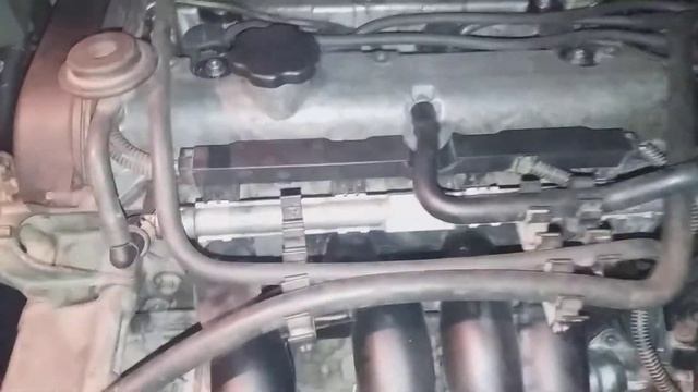 Форд фокус троит.