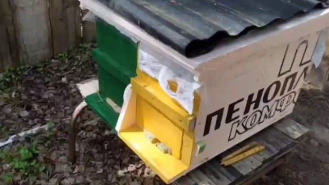 #бакфаст_ Идеальный улей для бакфаста_ Советы опытных пчеловодов_ Рахматулин Д.К