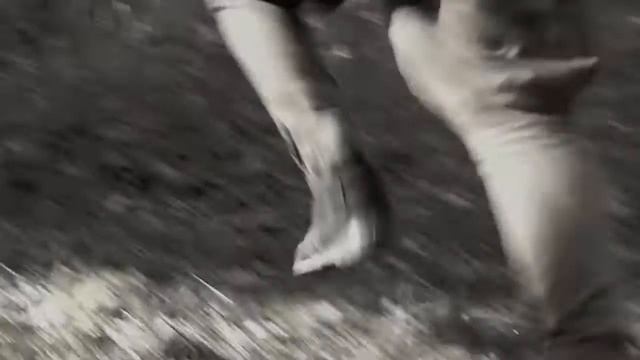 Память войны
