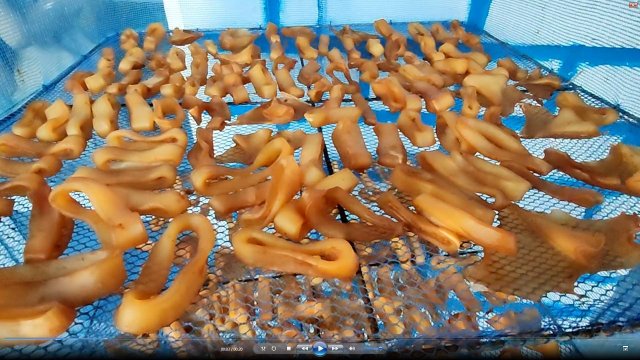 Самый вкусный вяленый кальмар в домашних условиях