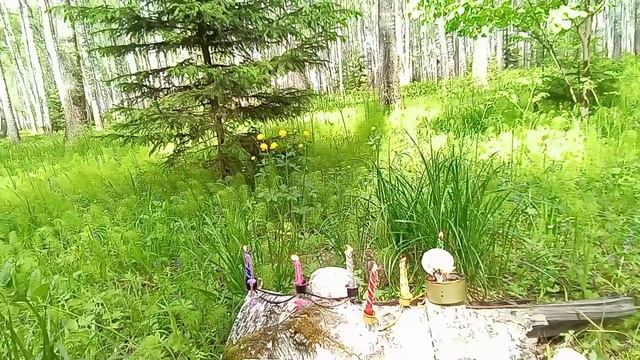 мощнейшая чистка от паучьей порчи,снятие паутины .Просвет в удаче,защита и Обратка зеркальная врага