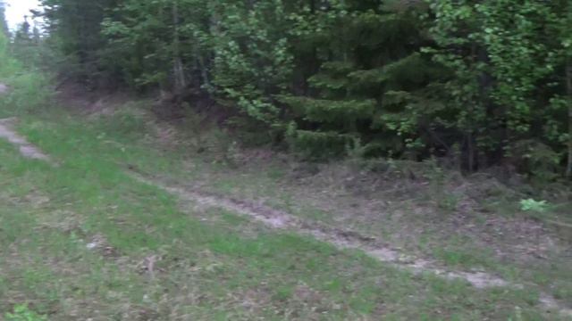 Охота с гончими Василий Комаров.