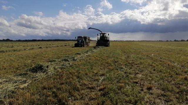 ЗАГОТОВКА КОРМОВ (СЕНАЖА) 🌾🌾В БЕЛАРУСИ