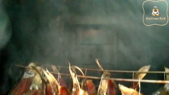 Копчение рыбы холодным способом. Холодное копчение мелкой рыбы