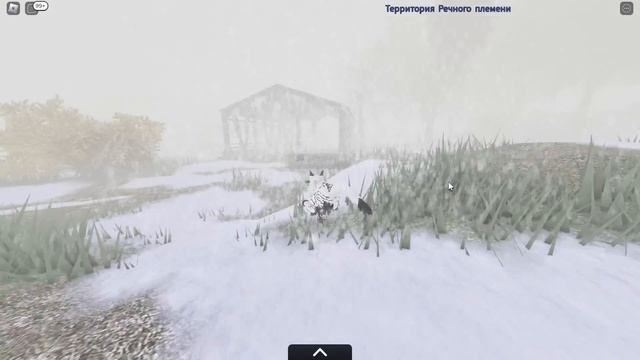 КОТЫ ВОИТЕЛИ РОБЛОКС! СТАЛИ КОТАМИ НА 24 ЧАСА! КРОЛЯ БАФФИ и КОТ МАЛЫШ ИГРАЮТ в Warrior Cats ROBLOX