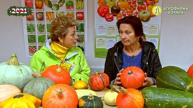 ТЫКВА и УХОД ЗА НЕЙ – Новинки Сортов Тыквы