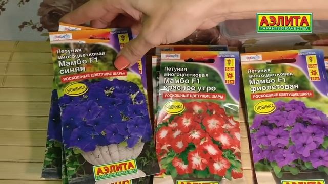 Клумбы из ПЕТУНИЙ на вашей даче | ПЕТУНИЯ МАМБА