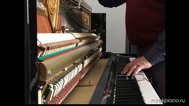 Мой любимый настройщик пианино - My favorite piano tuner
