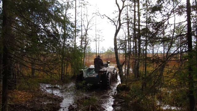 2015 10 6-07 шиченга