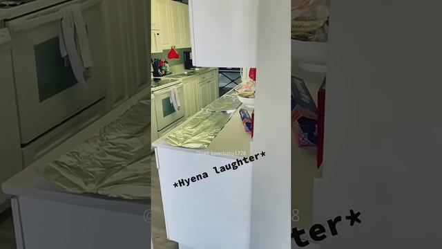 наши любимые питомцы