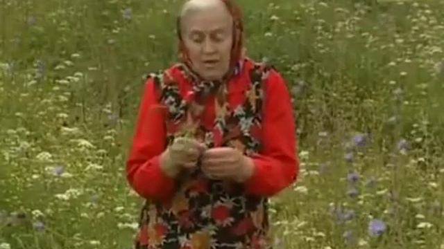 Советы и подсказки травницы Зайцевой Елены Федоровны, травницы