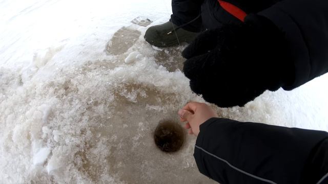 Крупные ОКУНИ зимой на балансир. Ловля окуня зимой на блесну 2018.