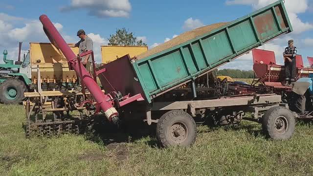 Ремонт, уборка и посев. Почему я отказываюсь от ржи?