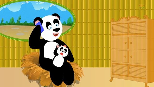 five little pandas | panda songs | panda nursery rhymes | little pandas | kids videos and songs