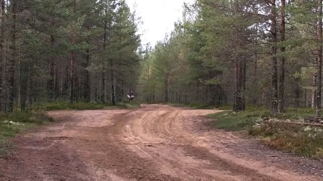 На что способна Honda XRV 750 Africa Twin