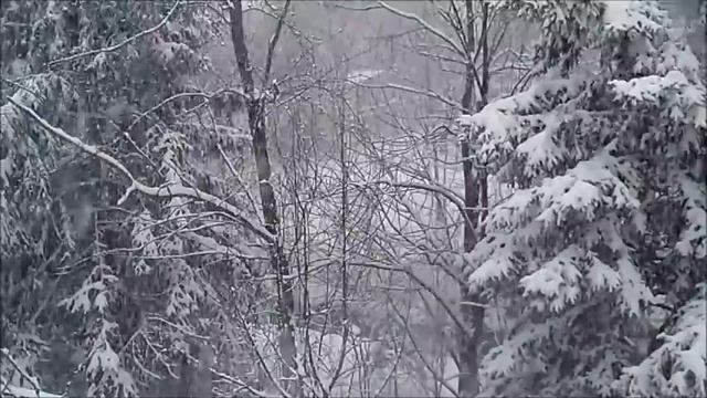 АС Пушкин.  Метель. Читает Алексей Баталов