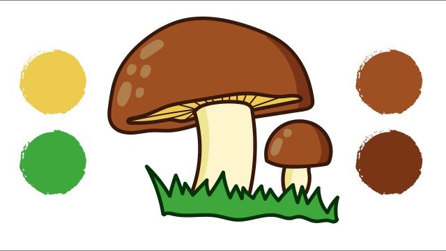Как нарисовать ГРИБ / Раскраска ГРИБ / How to draw a MUSHROOM / mushroom Coloring / Краски Раскраски