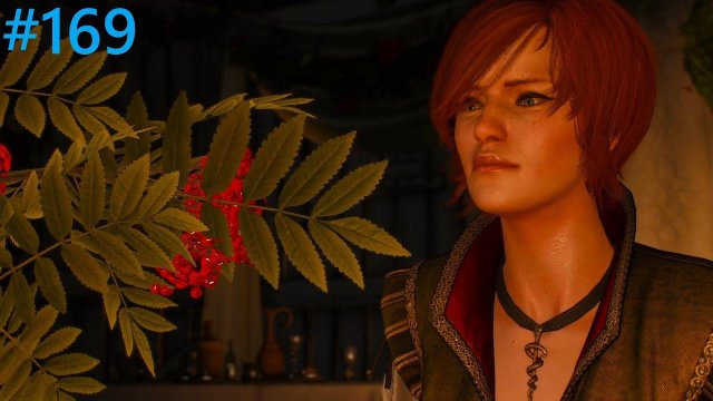 Ведьмак 3: Дикая Охота. Прохождение #169. Ясная полночь