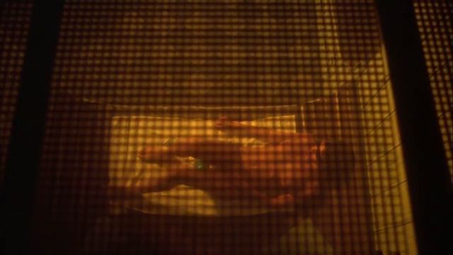 Forbidden World 1982 Full Movie