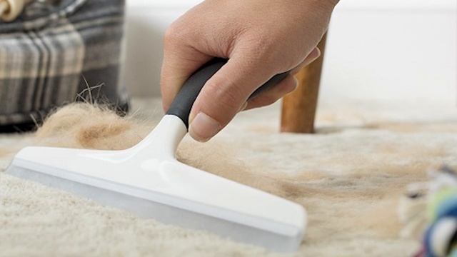 Вот как вывести пятна с ковра за считанные минуты, используя подручные средства