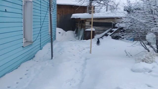 ЖИЗНЬ В АЛТАЙСКОМ КРАЕ,город Заринск