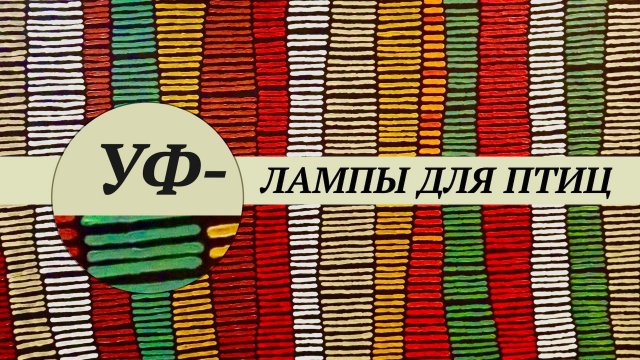 Ультрафиолетовые лампы для птиц. Всё что нужно знать об УФ освещении. Что значат параметры лампы.