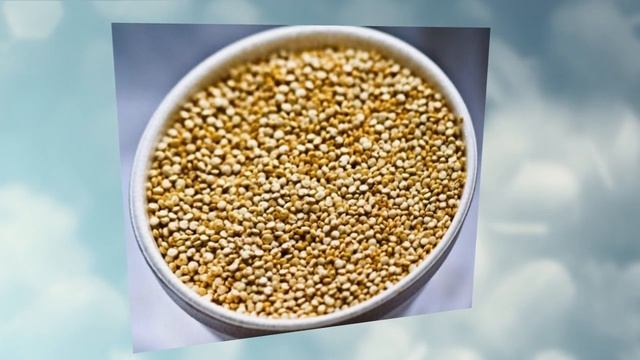 Стручковая фасоль выращивание. Самые простые советы