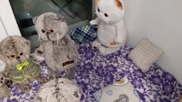 Бася Басик и Буся переехали к нам